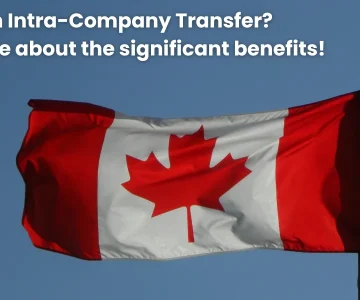 what-is-an-intra-company-transfer-what-are-the-significant-benefits