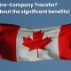 what-is-an-intra-company-transfer-what-are-the-significant-benefits