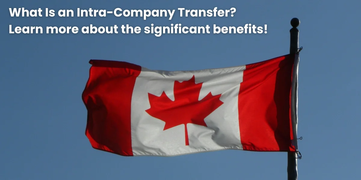 what-is-an-intra-company-transfer-what-are-the-significant-benefits